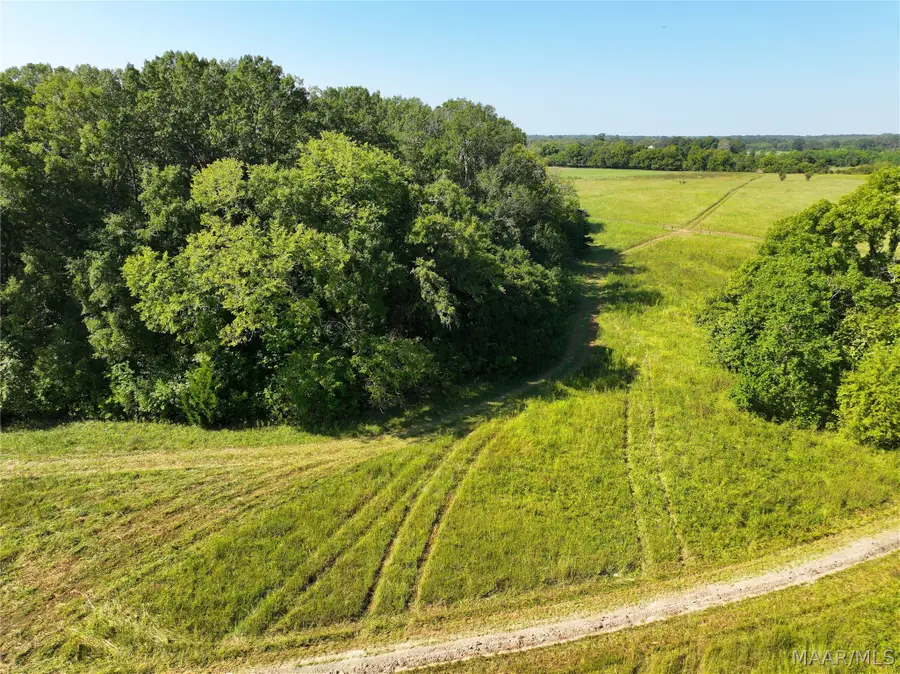 0 Wallahatchie Road, Pike Road, AL 36064 - #2