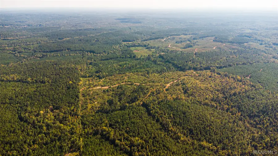 0 County Road 14 Road, Equality, AL 36026 - #3