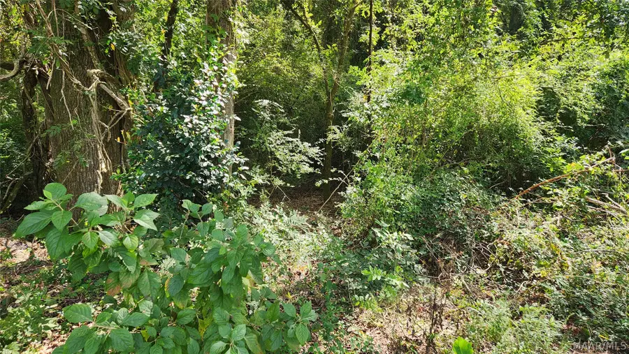 00000 Watkins Street, Tuskegee, AL 36083 - #2