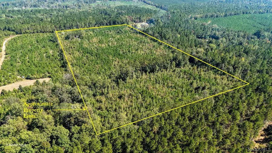 0 Tutt Road, Thomasville, AL 36784 - #3