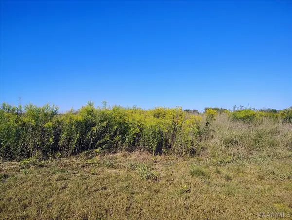 237 Greenleaf Road, Lowndesboro, AL 36043