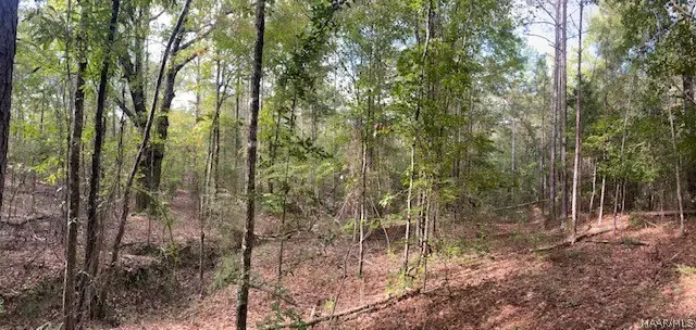 327 Mcneal Road, Tallassee, AL 36078 - #3