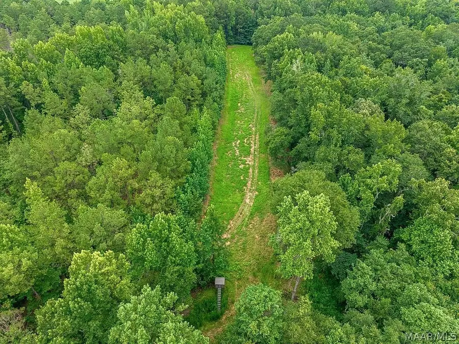 15 Fitzpatrick Road, Auburn, AL 36830 - #2