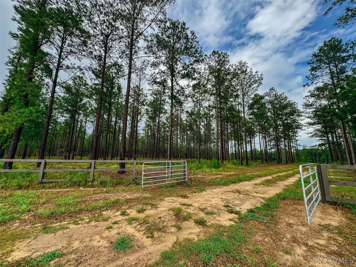12 County Road 24 Road, Auburn, AL 36830 - #1