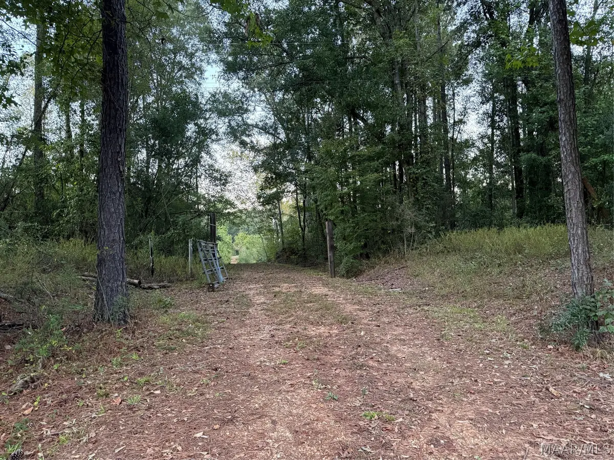 993 B County Road 80, Selma, AL 36703 - #1