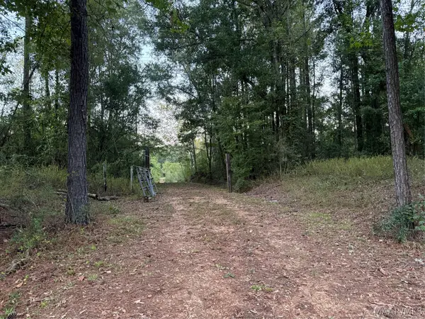 993 B County Road 80, Selma, AL 36703