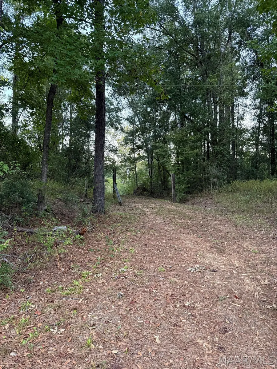 993 B County Road 80, Selma, AL 36703 - #2