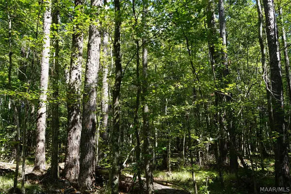 11075 Highway 94 Highway, Dublin, AL 36036