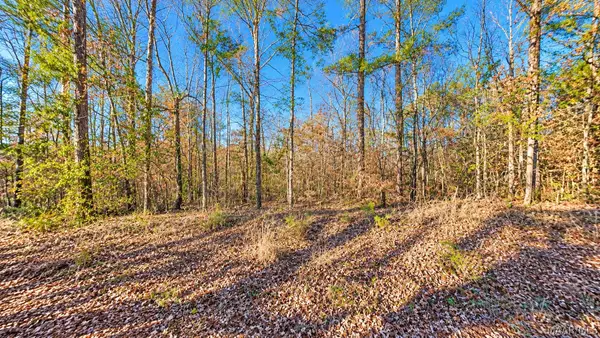 0 Lee Road #352, Salem, AL 36874