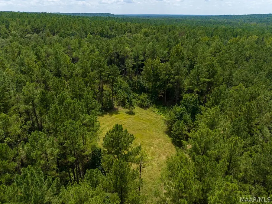 0 Ware Road, Wetumpka, AL 36092 - #2