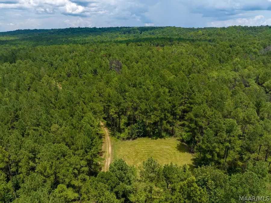 0 Ware Road, Wetumpka, AL 36092 - #3