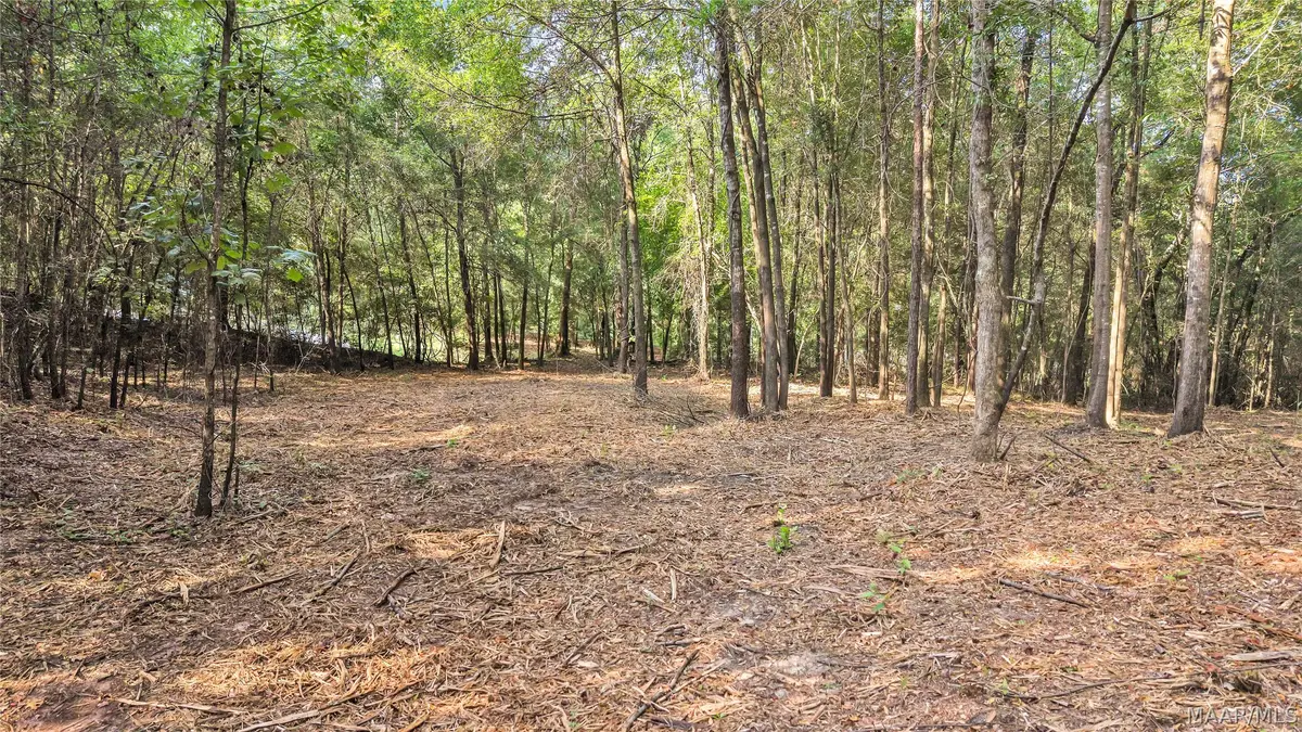 Lot 1 Monfee Road, Prattville, AL 36067 - #1