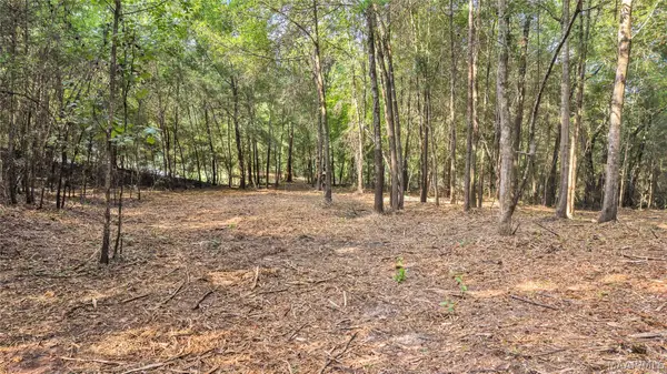 Lot 1 Monfee Road, Prattville, AL 36067