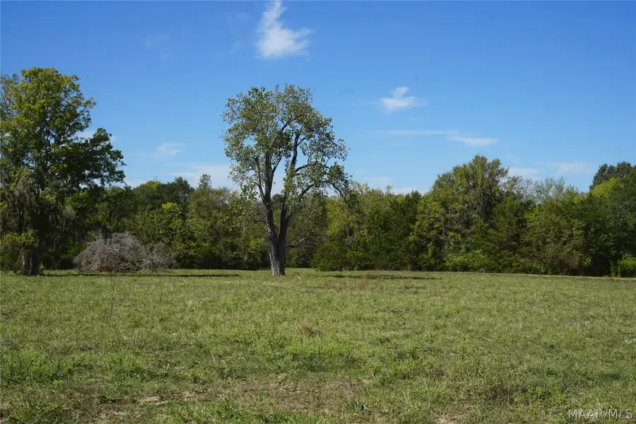 1579 Windham Road, Hope Hull, AL 36043 - #3