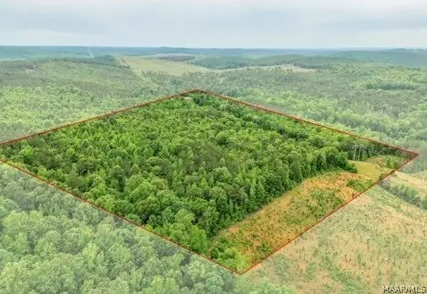 1 Lagrone Road, Moundville, AL 35474