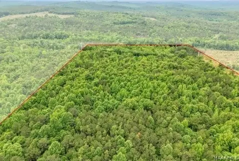 1 Lagrone Road, Moundville, AL 35474 - #3