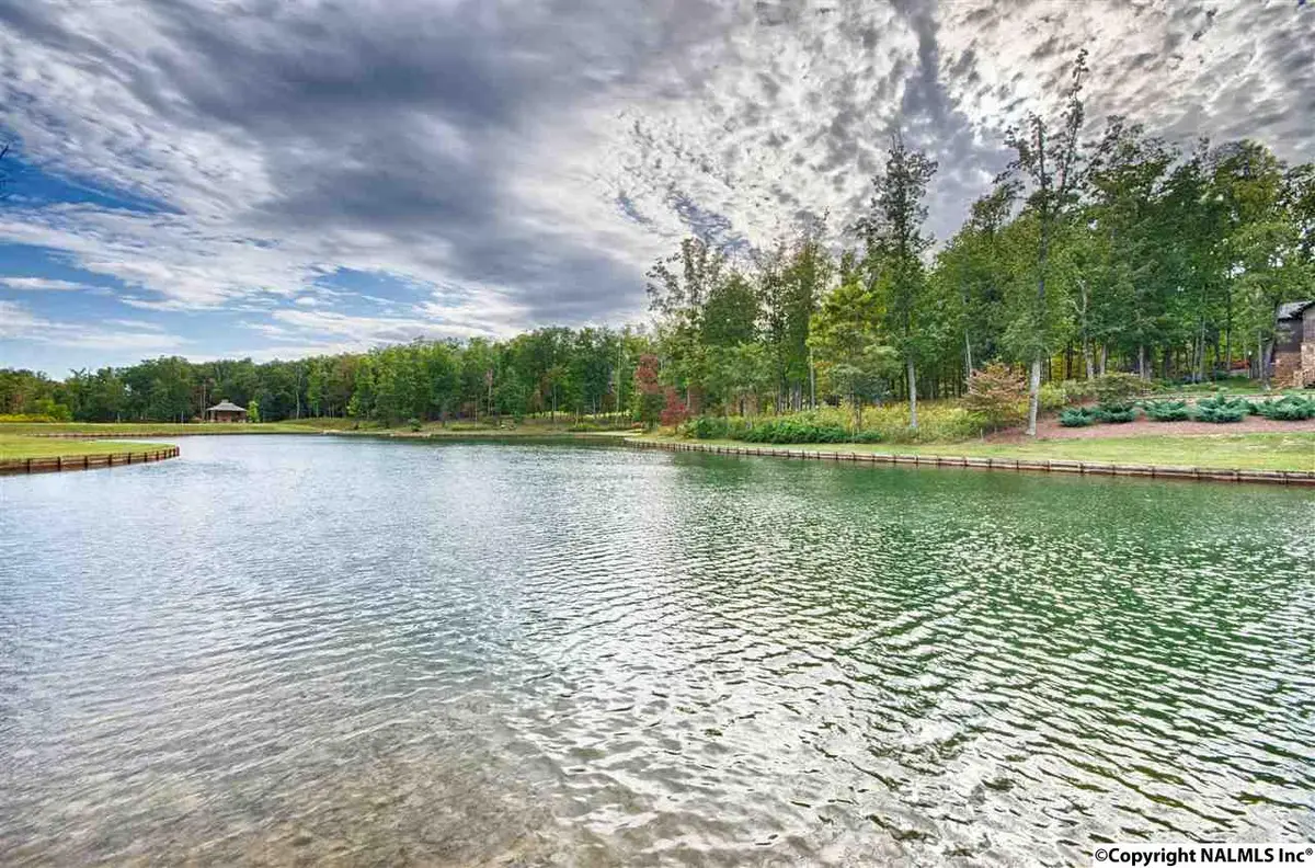 9 Autumn Glory Lane, Huntsville, AL 35803 - Image #1