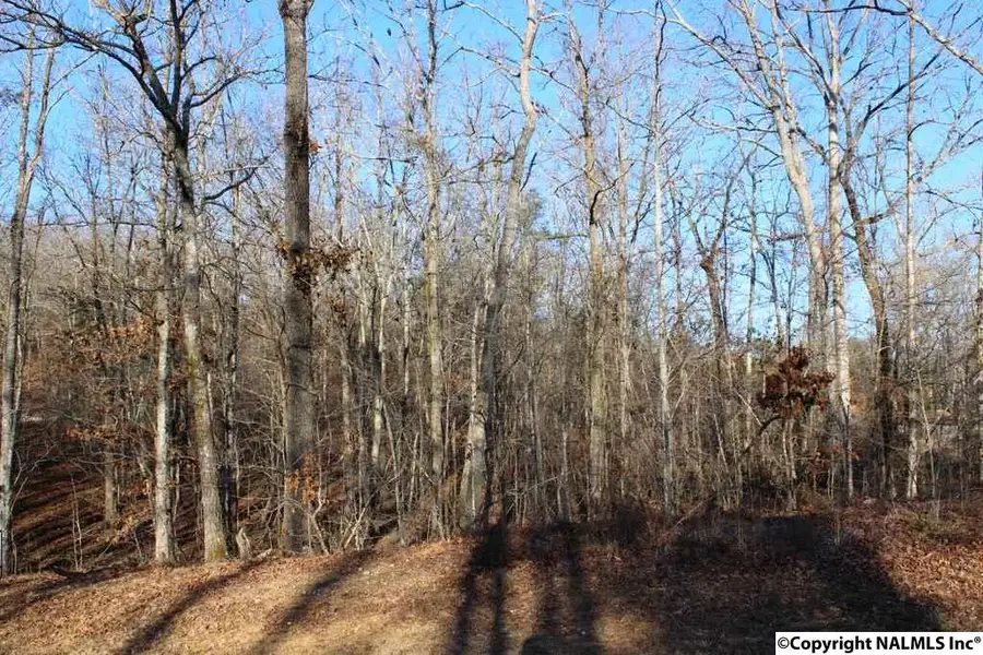 NA Raintree Drive, Centre, AL 35960 - Image #2