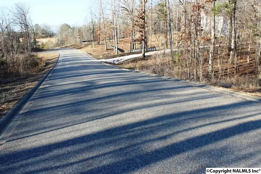 NA Raintree Drive, Centre, AL 35960 - Image #3