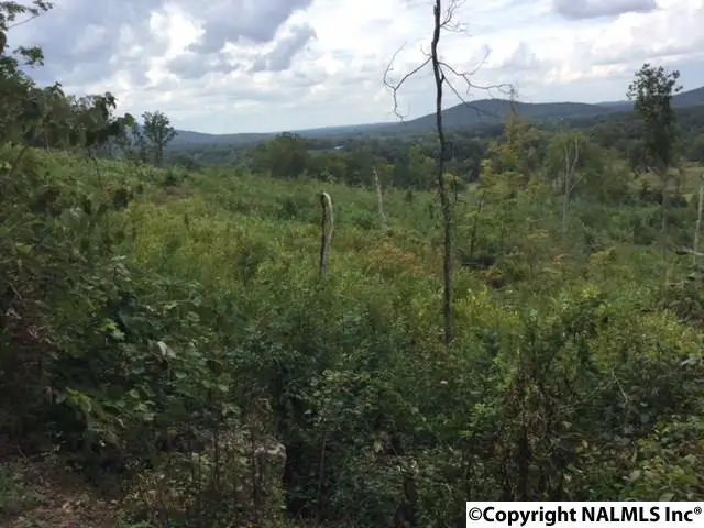 00 Peck Hollow Road, Somerville, AL 35670 - Image #1