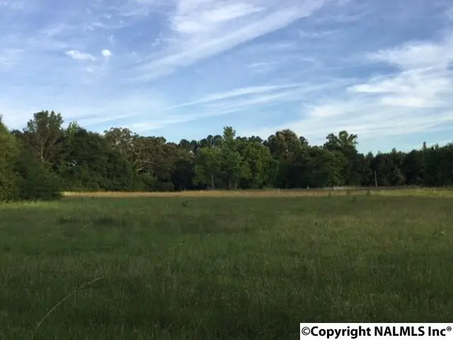 129 Tapscott Road, Hartselle, AL 35640 - Image #2