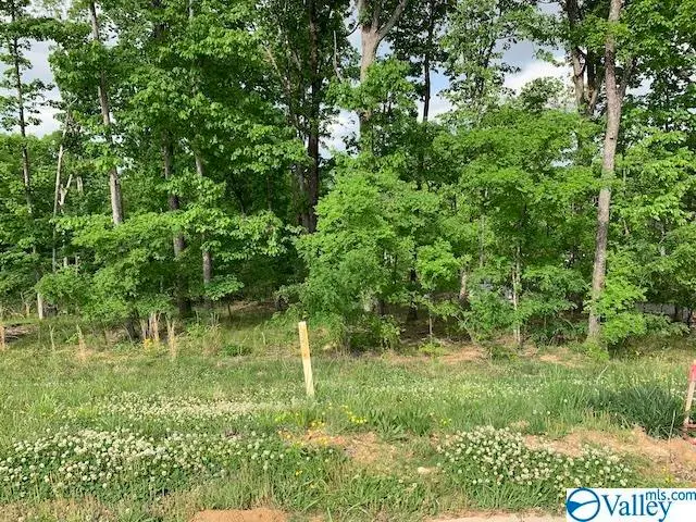 30 Watson Grande Way, Owens Cross Roads, AL 35763 - #2