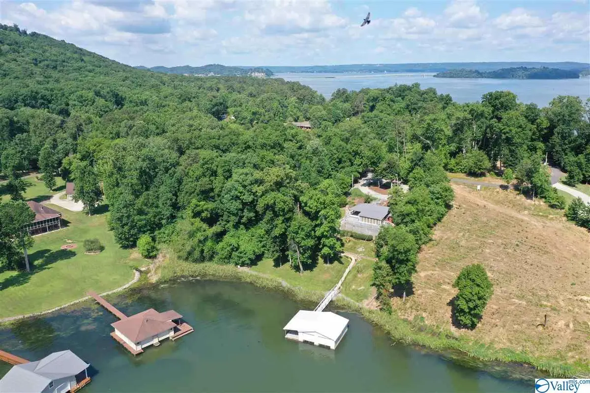 104 Signal Point Drive, Guntersville, AL 35976 - Image #1