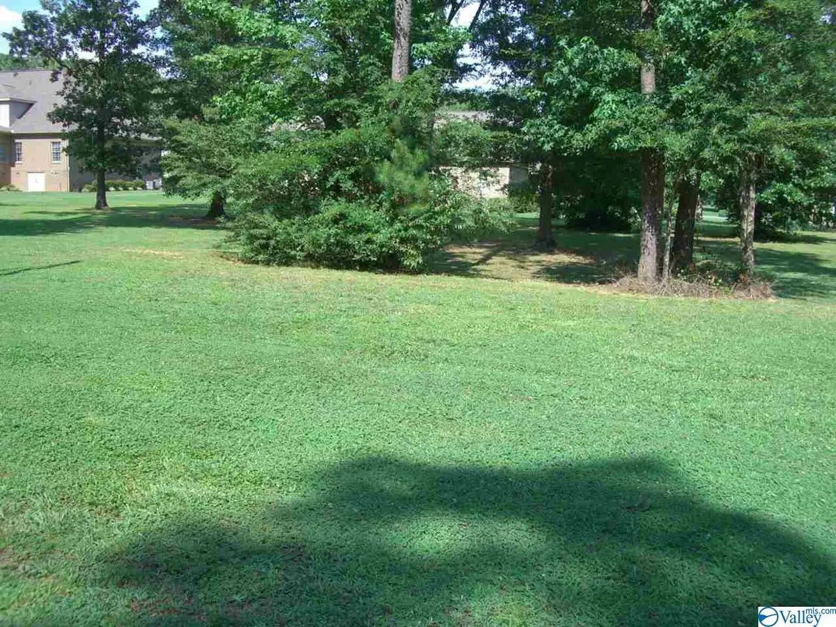 lot 20 Wisteria Way, Scottsboro, AL 35769 - Image #1