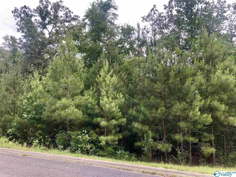 23 Azalea Trail, Centre, AL 35960 - Image #3