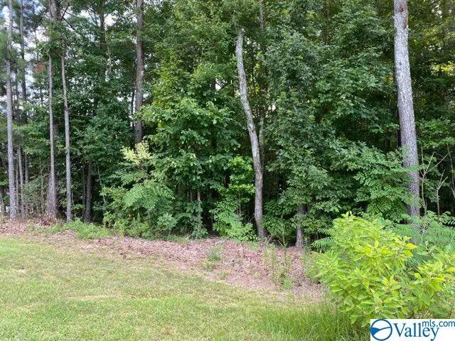 Lot 16 Sweetwater Lane, Rainbow City, AL 35906 - Image #2