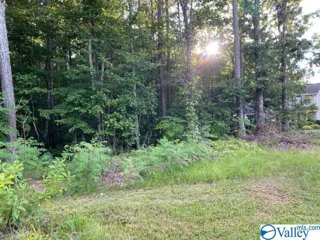 Lot 16 Sweetwater Lane, Rainbow City, AL 35906 - Image #3