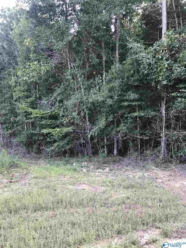 lot 30 County Road 279, Moulton, AL 35650