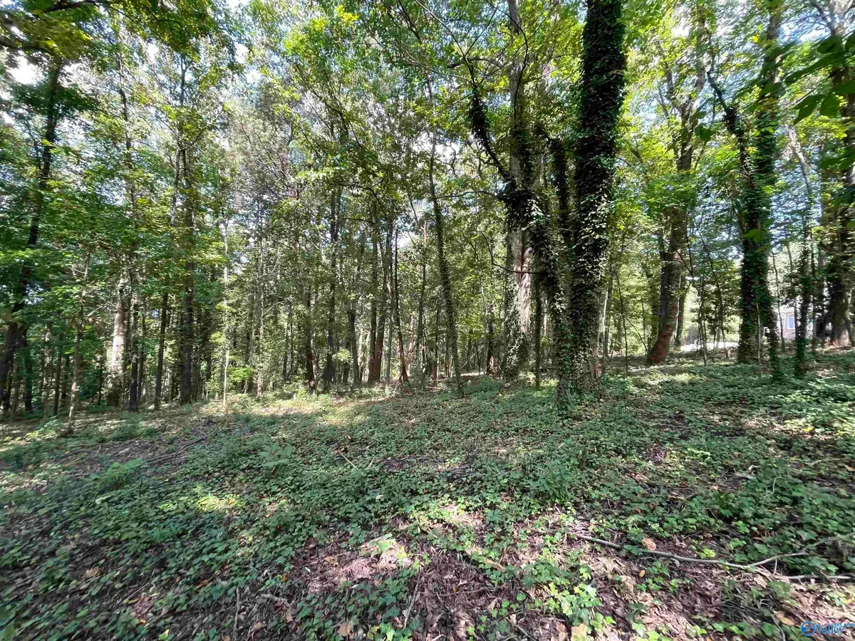 11 Camille Circle, Gadsden, AL 35901 - Image #1