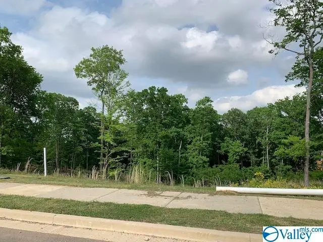 26 Watson Grande Way, Owens Cross Roads, AL 35763 - Image #2