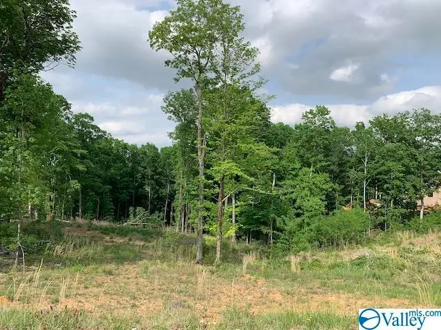 26 Watson Grande Way, Owens Cross Roads, AL 35763 - Image #3