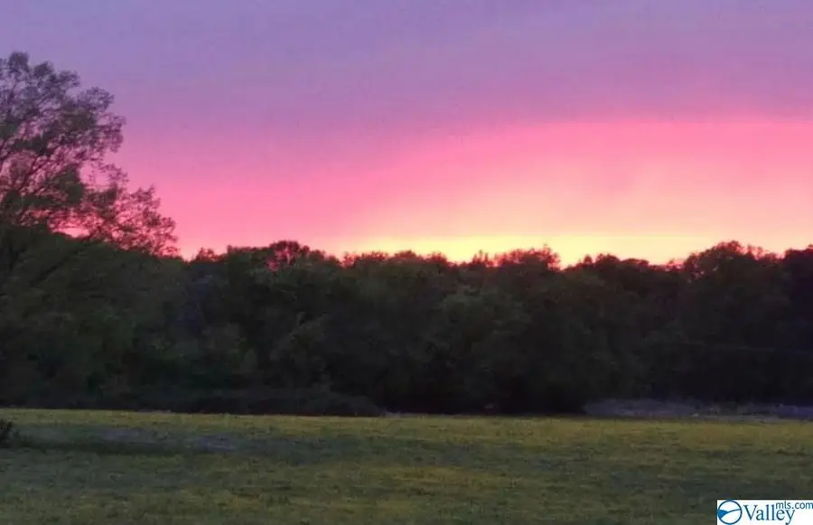 22 Hawthorn Way, Trinity, AL 35673 - Image #3