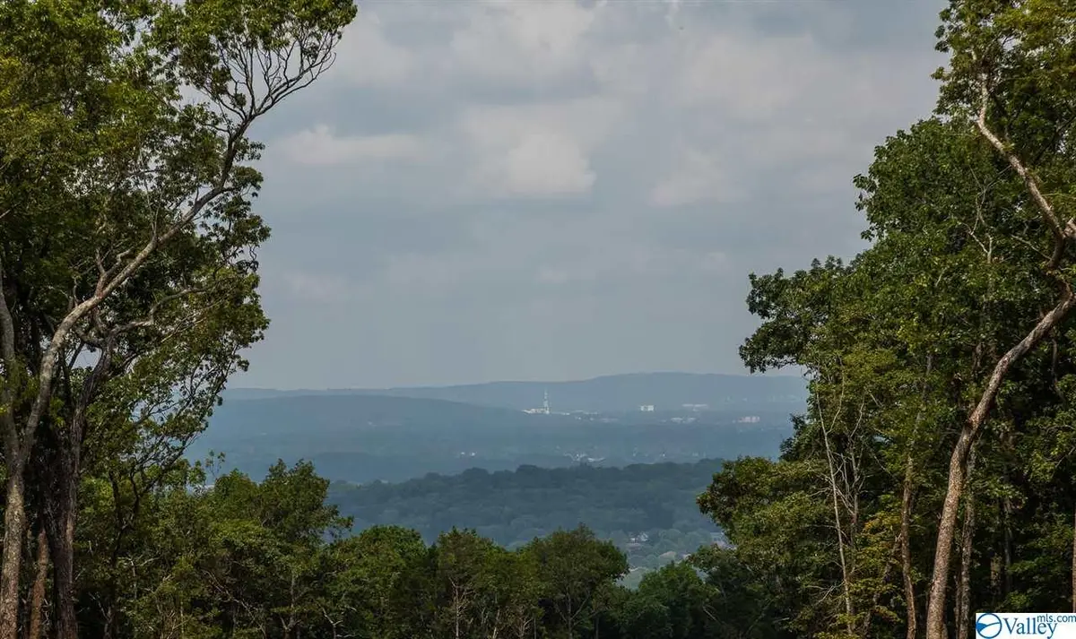 6 South Ridge, Huntsville, AL 35802 - #1