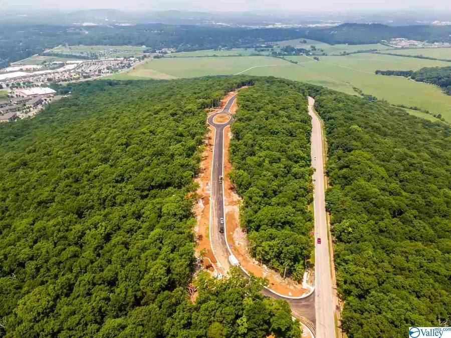 6 South Ridge, Huntsville, AL 35802 - #2