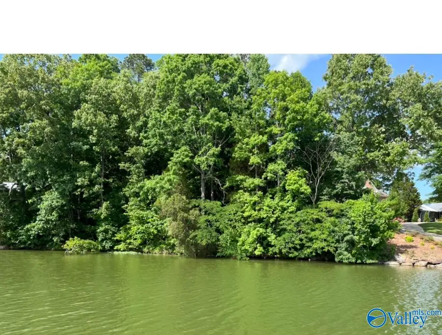 lot 2 Frances Circle, Leesburg, AL 35983 - #3