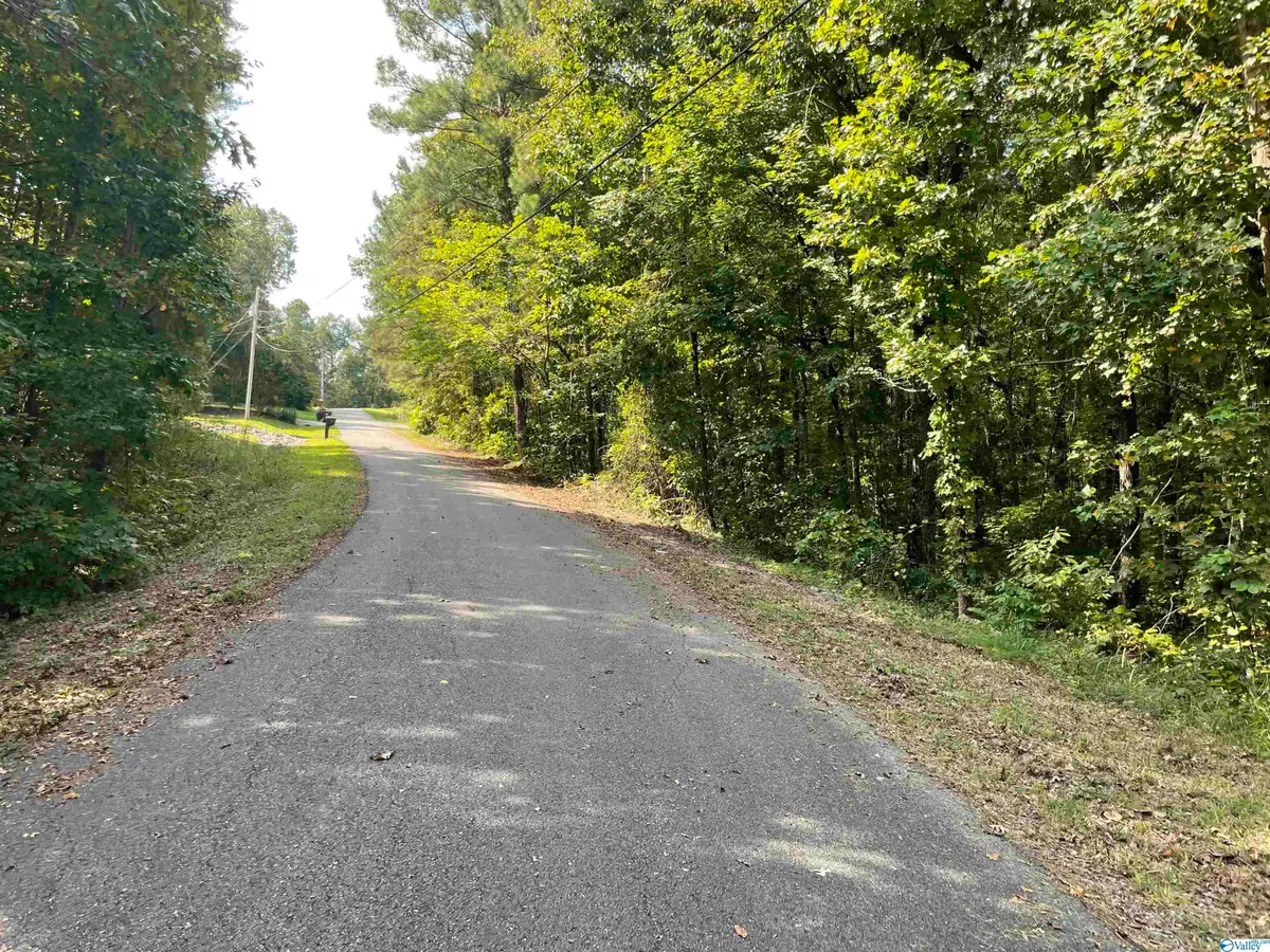 0.53 +/- Acres Mountain Top Road, Southside, AL 35907 - Image #1