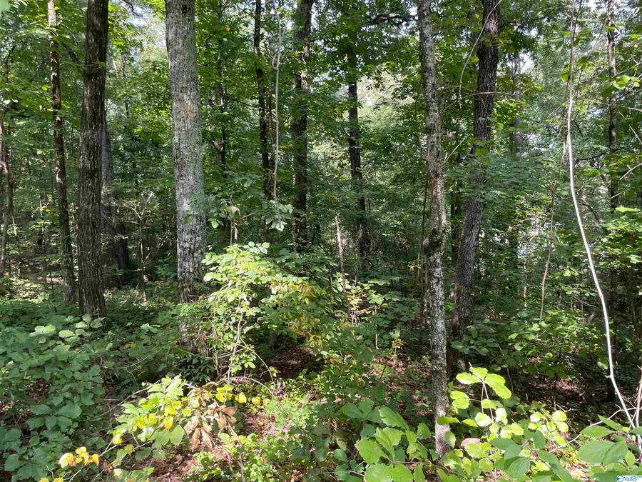 0.53 +/- Acres Mountain Top Road, Southside, AL 35907 - Image #2