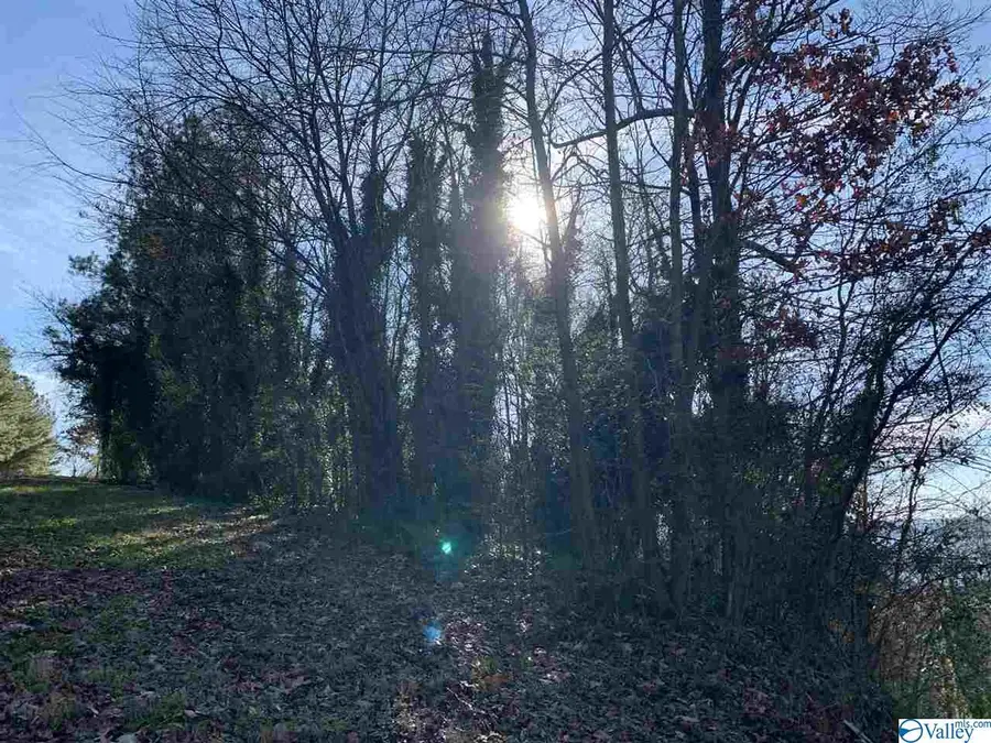 52 Timberwalk Drive, Guntersville, AL 35976 - Image #2