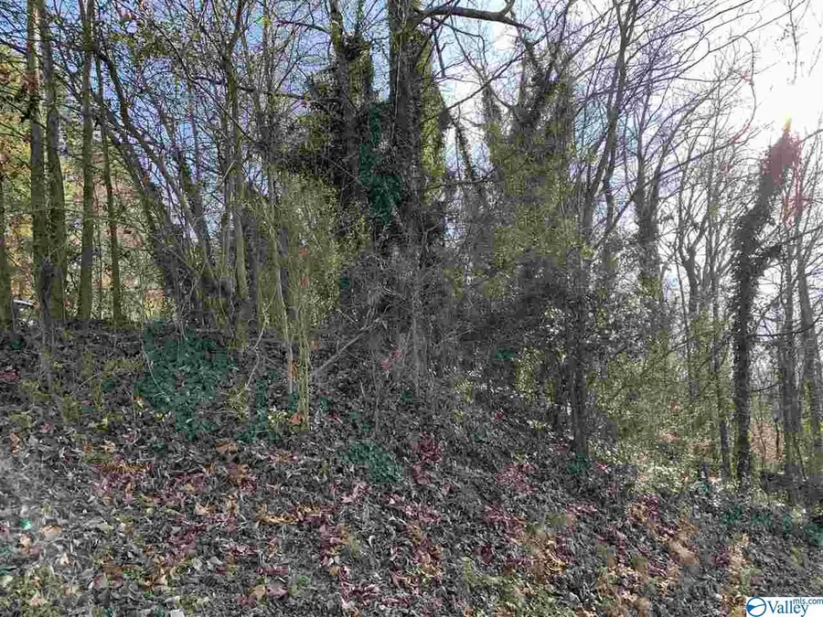 52 Timberwalk Drive, Guntersville, AL 35976 - Image #3