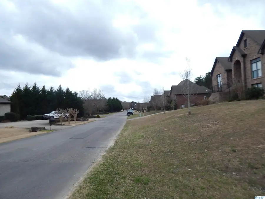 59.61 Acres Faith School Road, McCalla, AL 35111 - Image #2