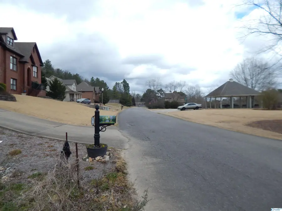 59.61 Acres Faith School Road, McCalla, AL 35111 - Image #3