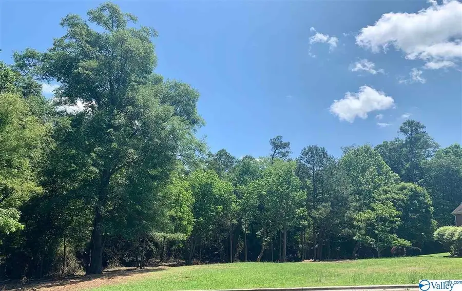 Lot  14 Royal Troon Lane, Albertville, AL 35951 - Image #3