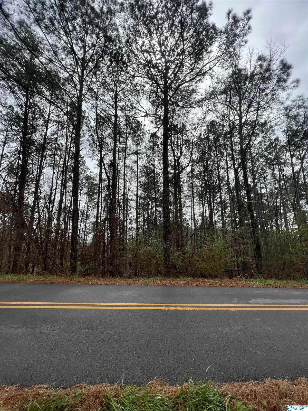 4 Acres +/- Scenic Drive, Gadsden, AL 35904 - Image #1