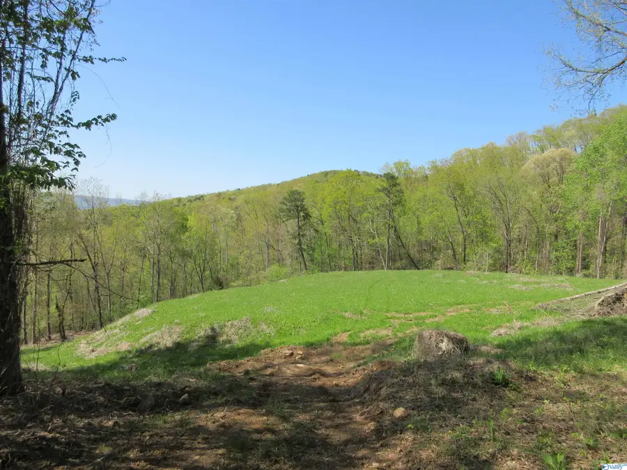 44 Highway 117, Flat Rock, AL 35966 - Image #2