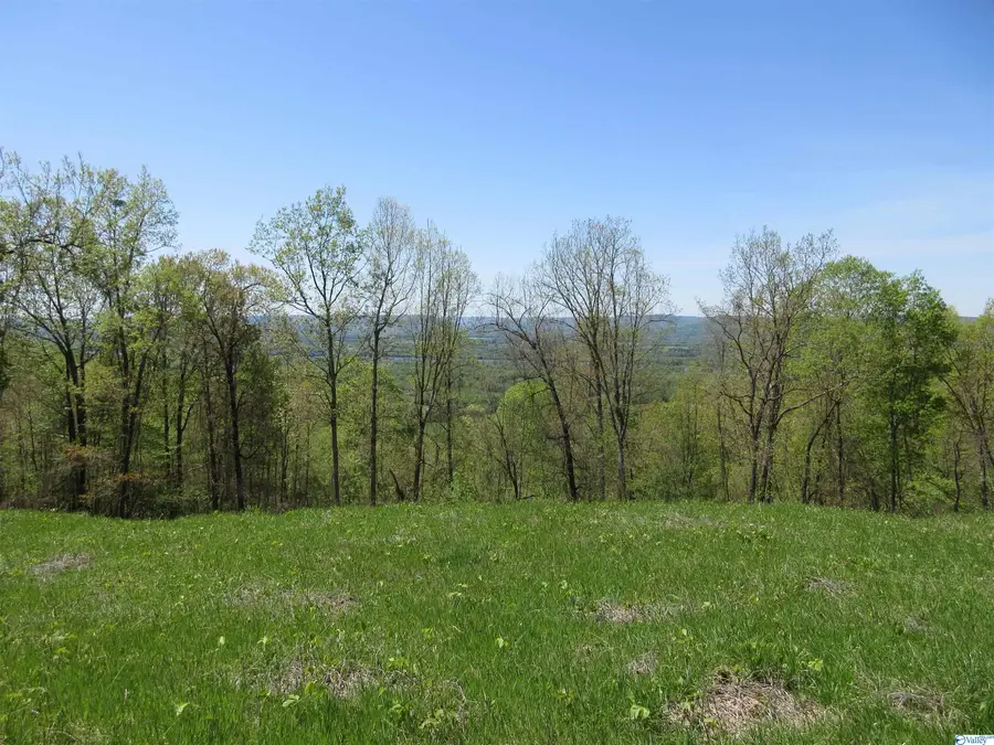 44 Highway 117, Flat Rock, AL 35966 - Image #3