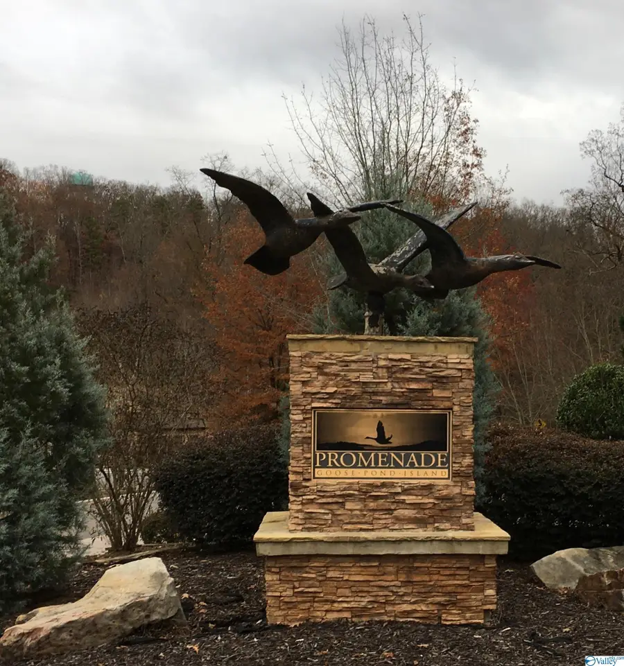 416 Monte Sano Drive, Scottsboro, AL 35769 - Image #3